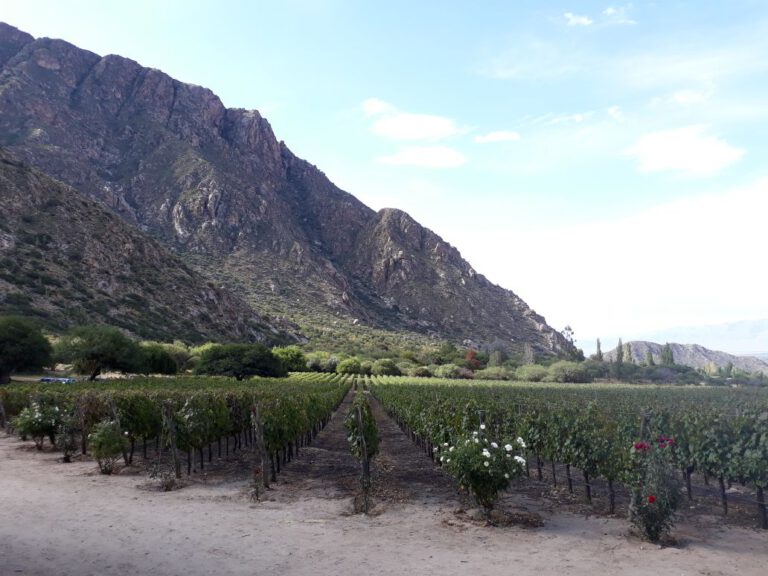 Wine tourism in the wine region Cafayata, North of Argentina